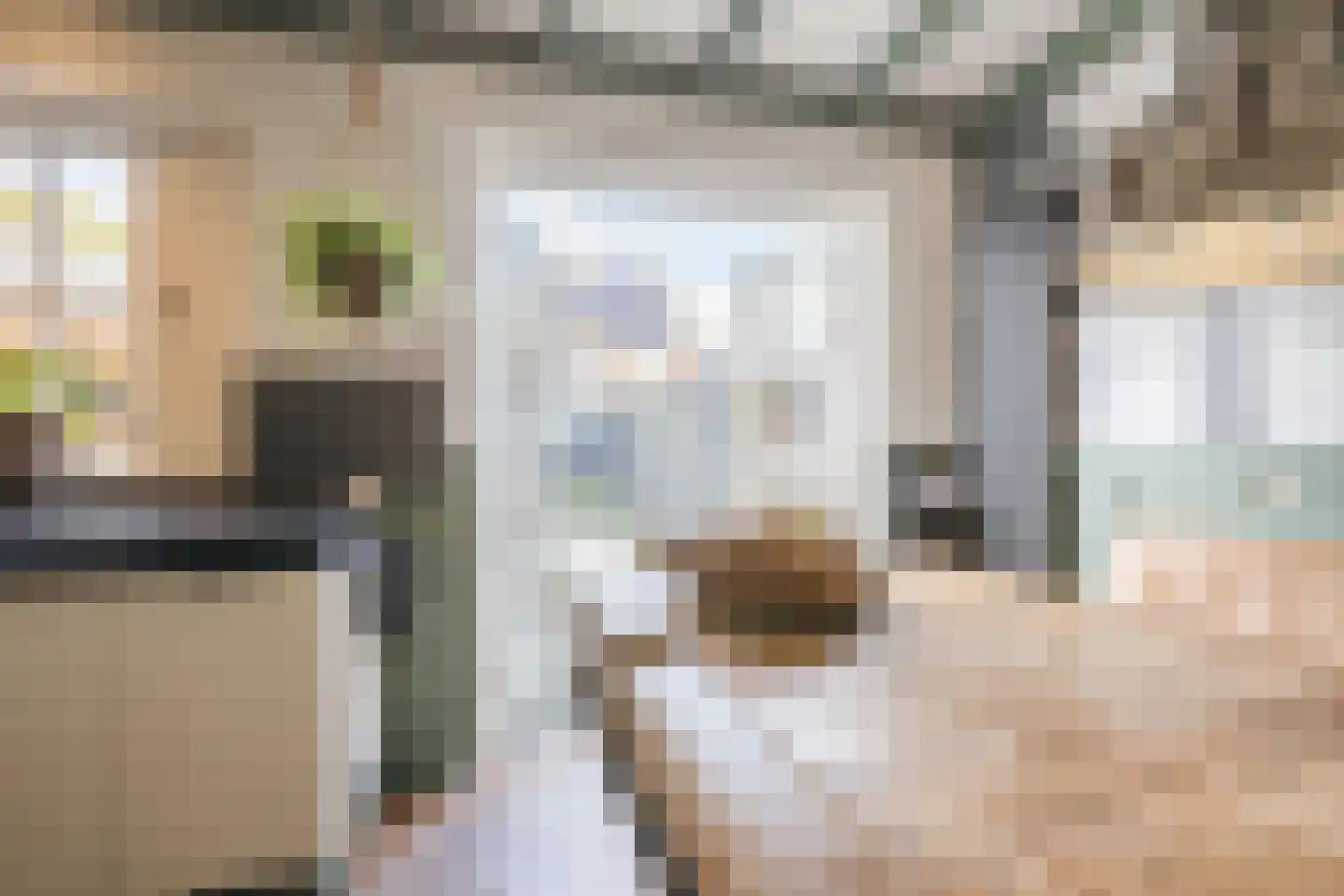 Kamperfoelie 20 Nieuwleusen thumbnail 16