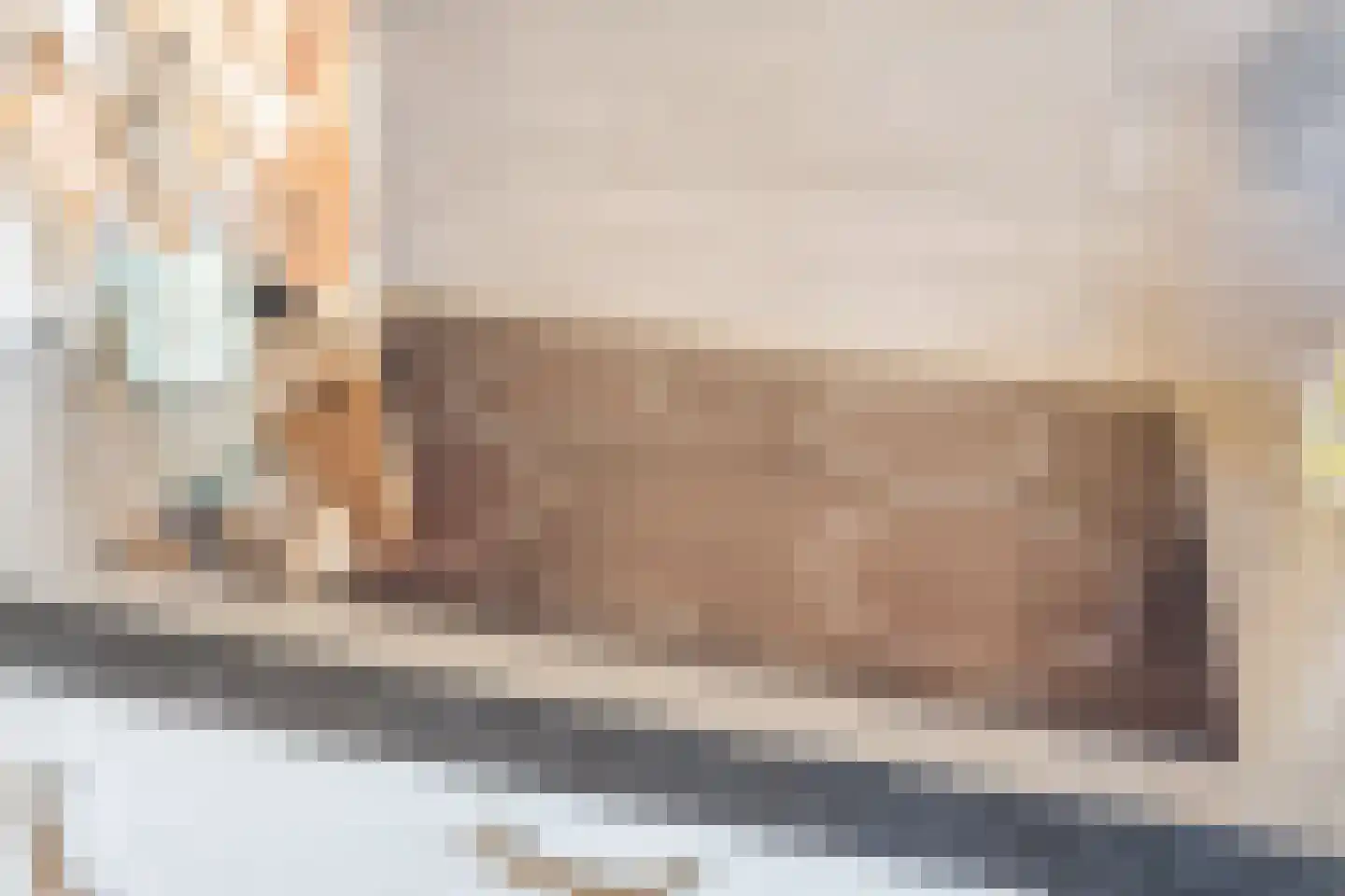 Kamperfoelie 20 Nieuwleusen thumbnail 18