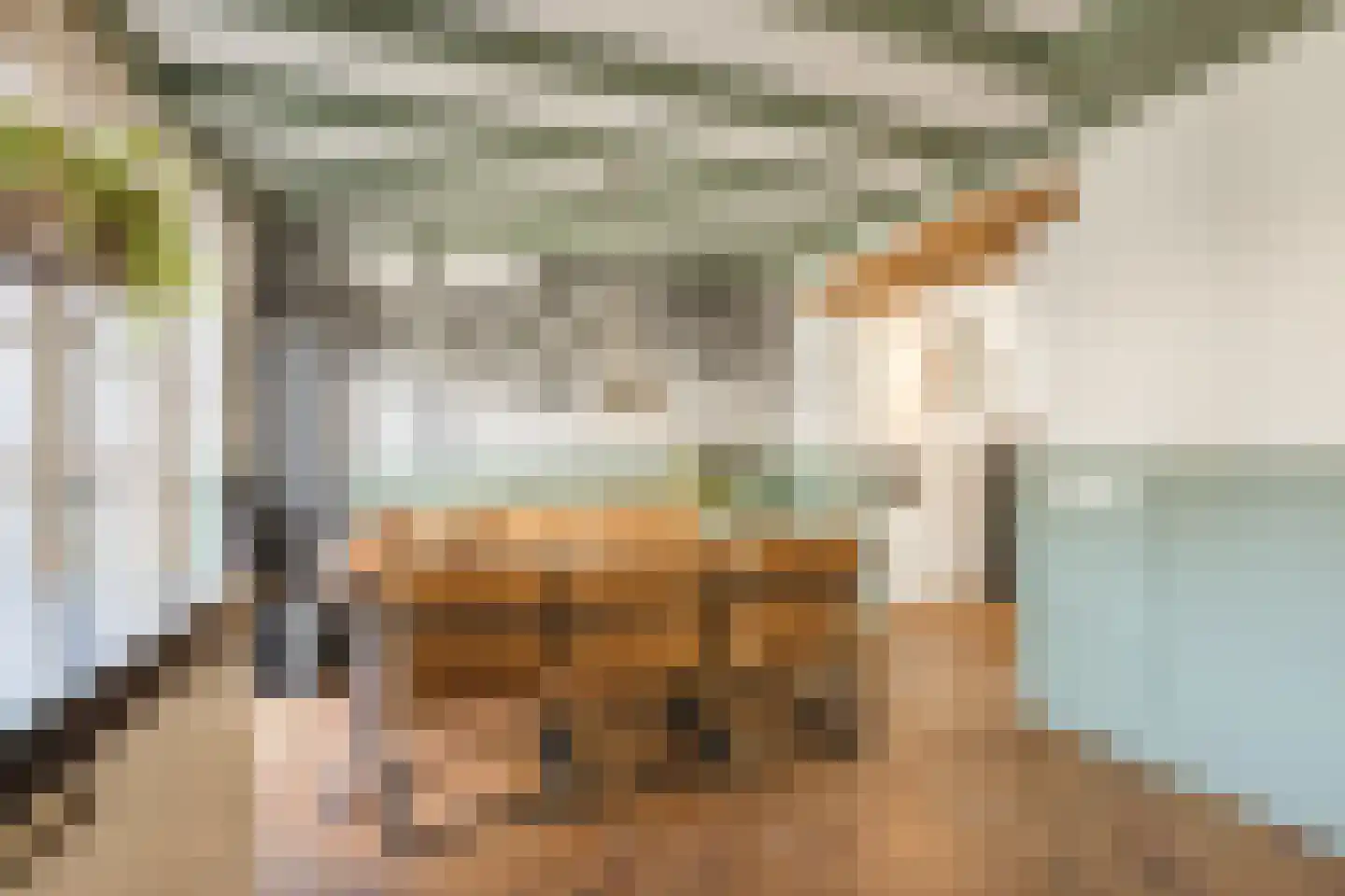 Kamperfoelie 20 Nieuwleusen thumbnail 20