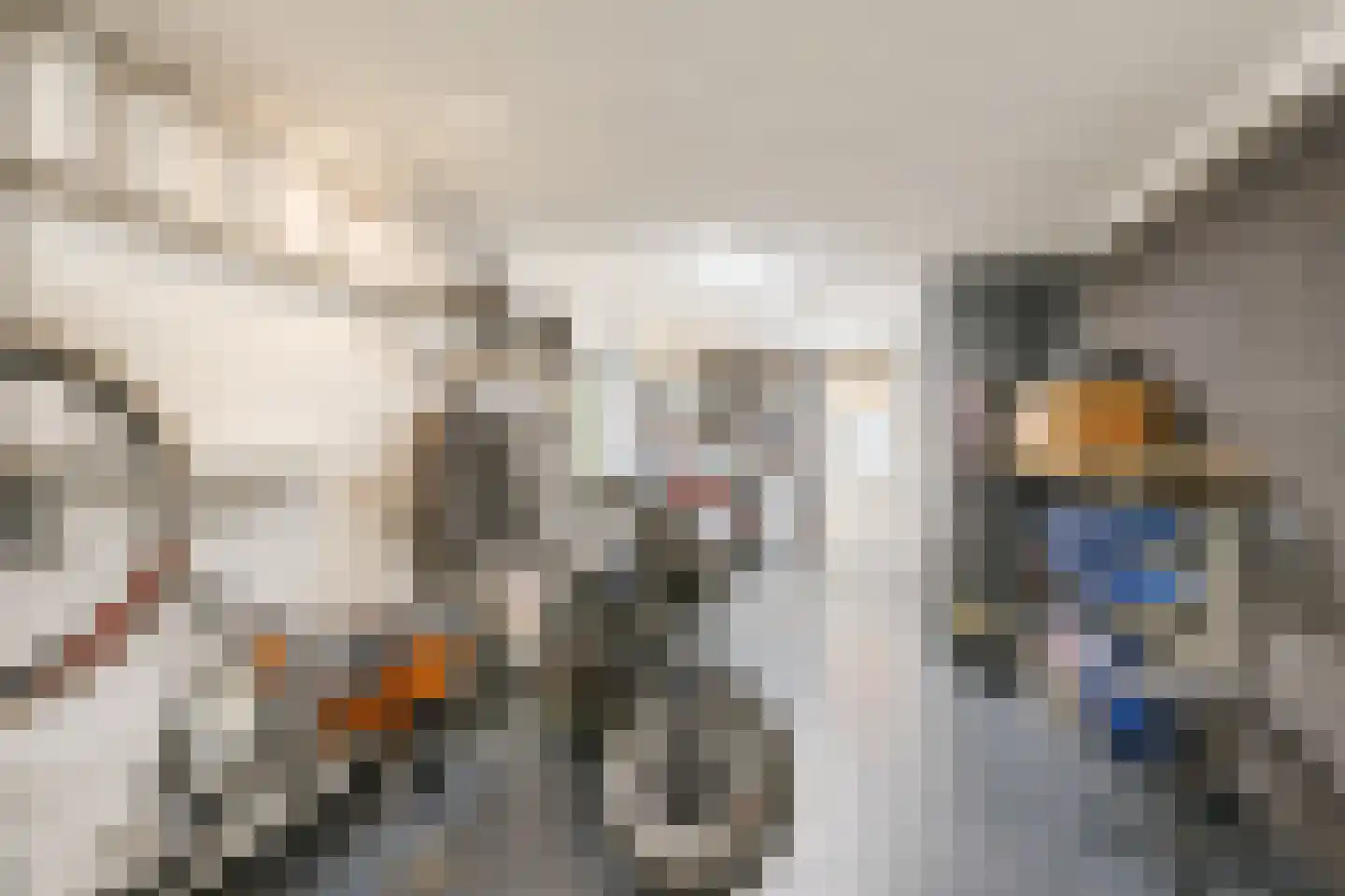 Kamperfoelie 20 Nieuwleusen thumbnail 21