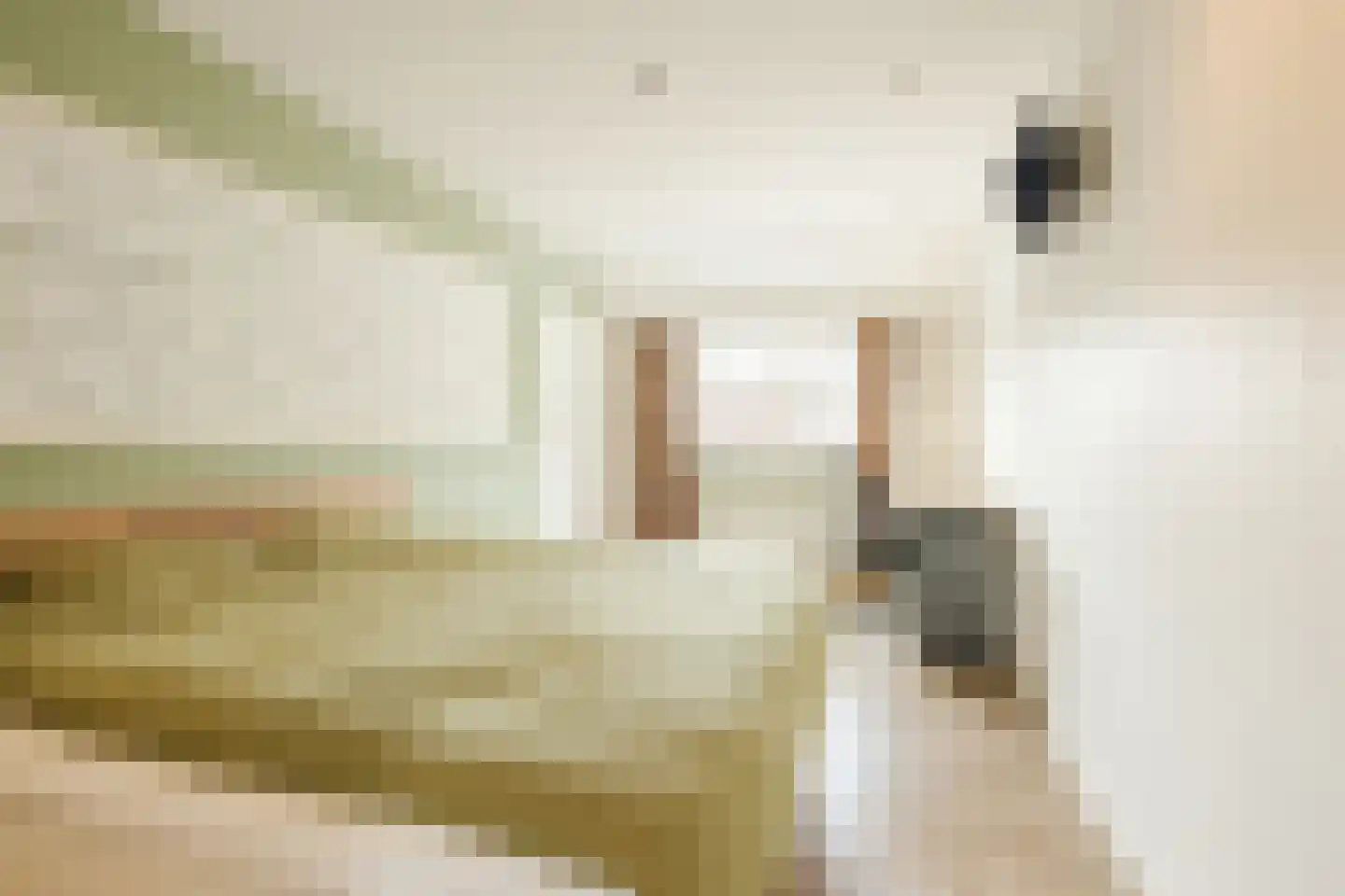 Kamperfoelie 20 Nieuwleusen thumbnail 37