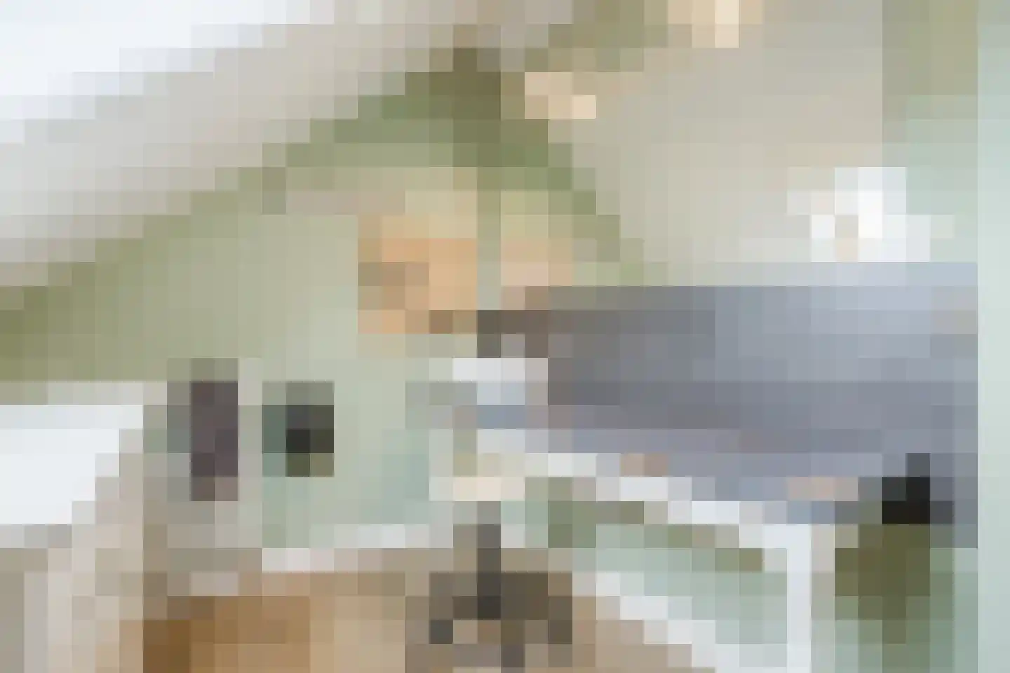 Kamperfoelie 20 Nieuwleusen thumbnail 39