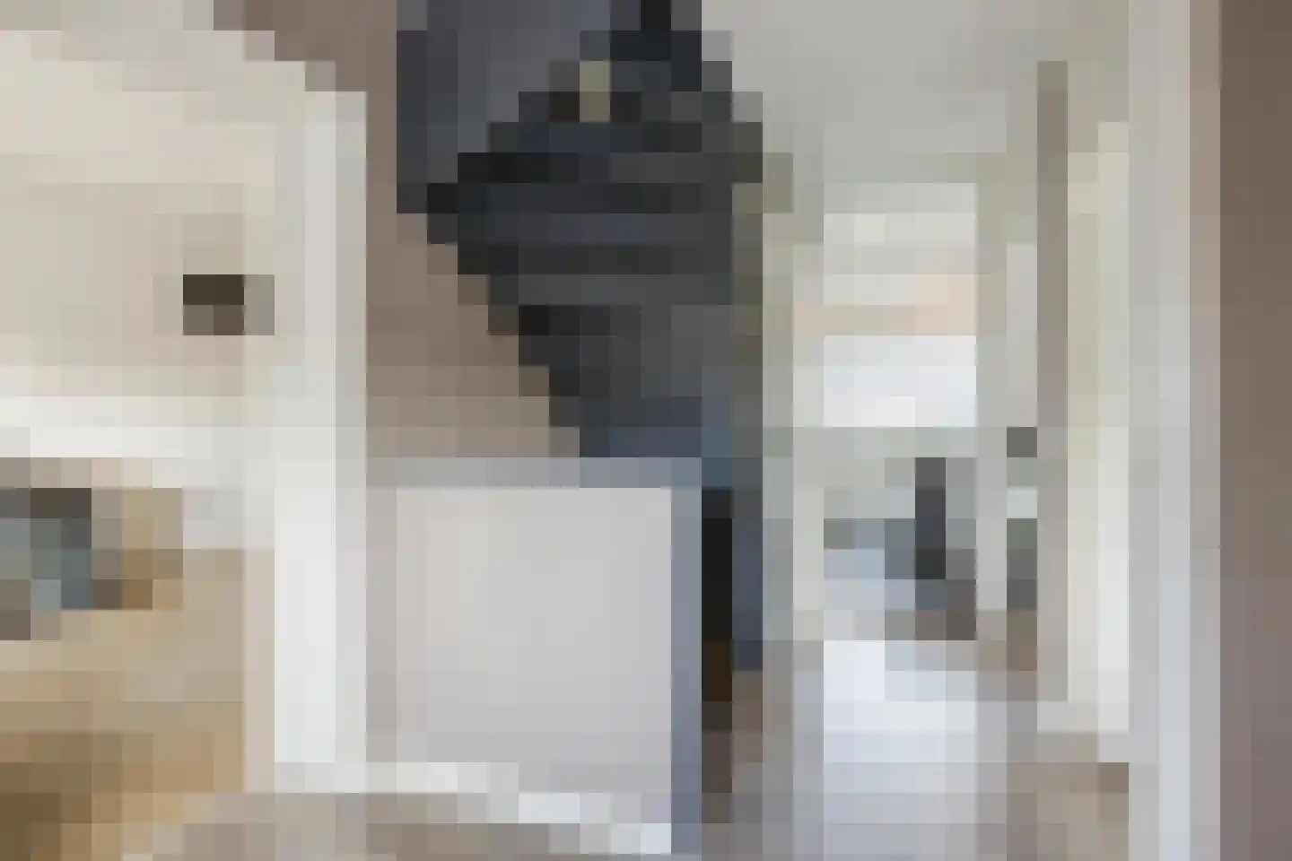 Kamperfoelie 20 Nieuwleusen thumbnail 45