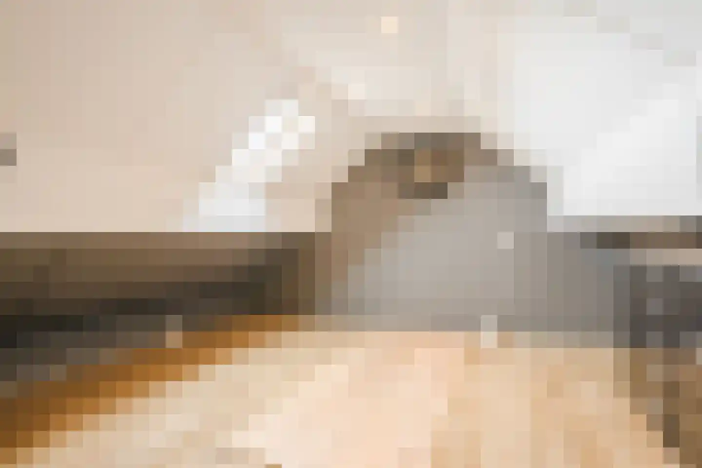 Kamperfoelie 20 Nieuwleusen thumbnail 47