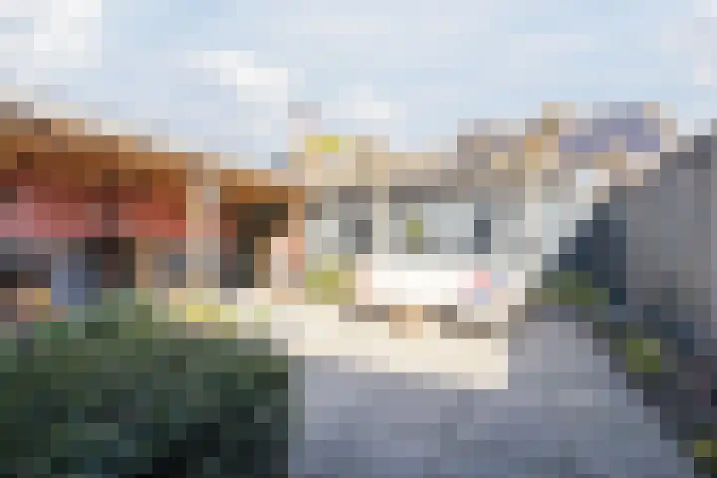 Kamperfoelie 20 Nieuwleusen thumbnail 50