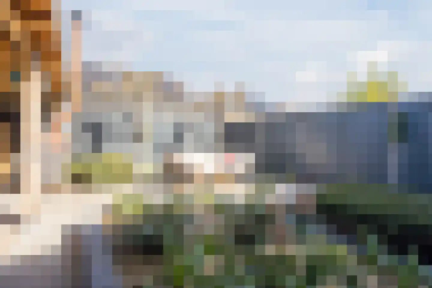 Kamperfoelie 20 Nieuwleusen thumbnail 51