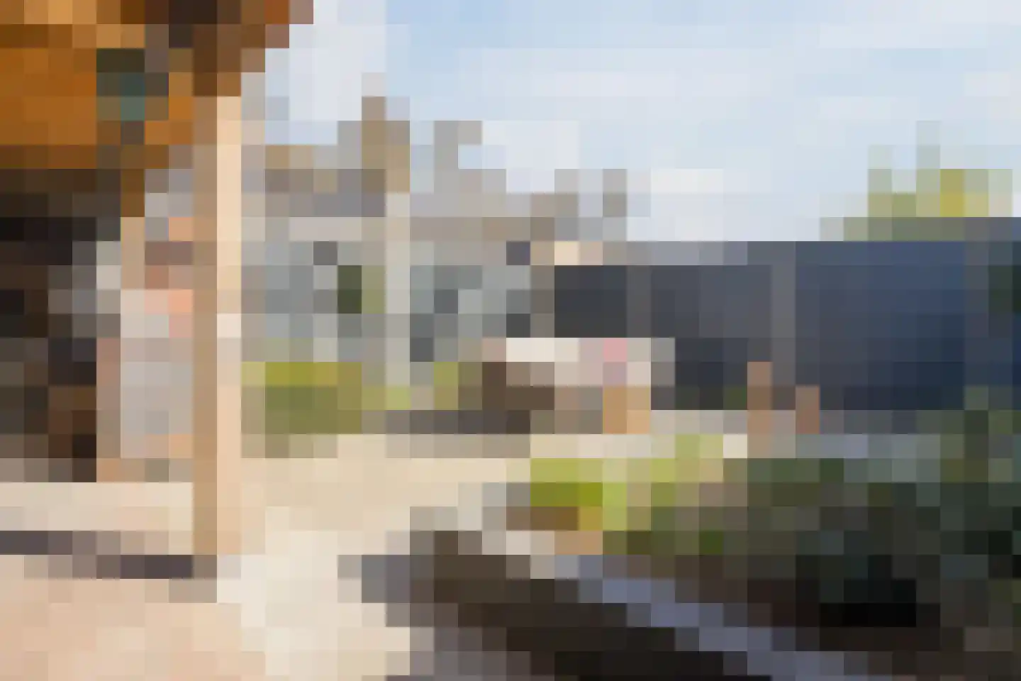 Kamperfoelie 20 Nieuwleusen thumbnail 52