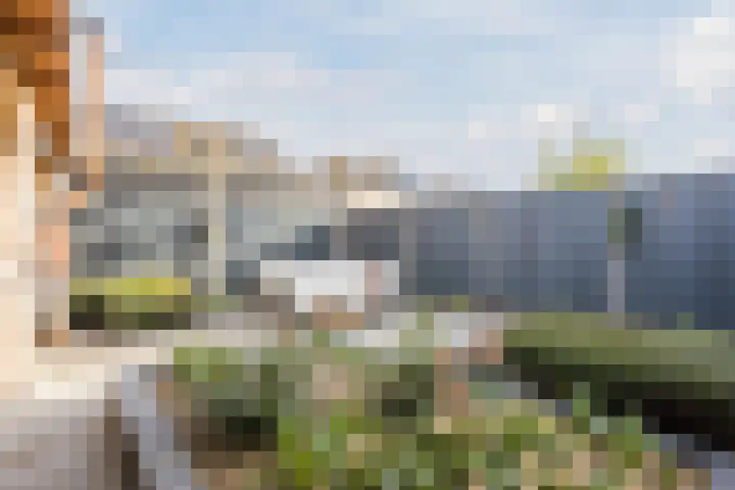 Kamperfoelie 20 Nieuwleusen thumbnail 53