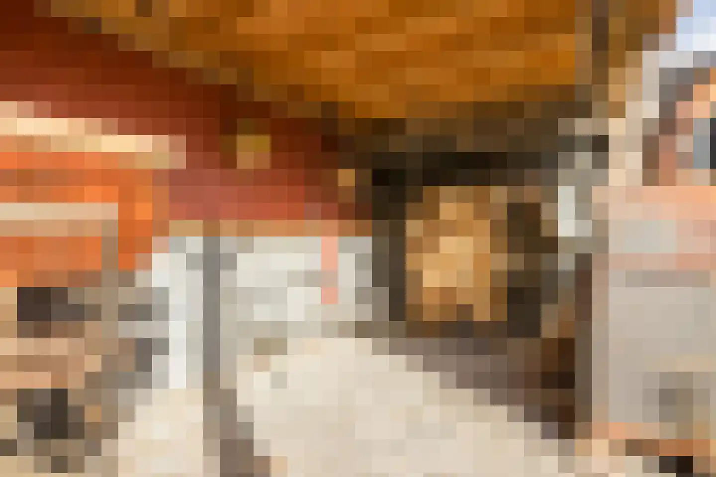 Kamperfoelie 20 Nieuwleusen thumbnail 55