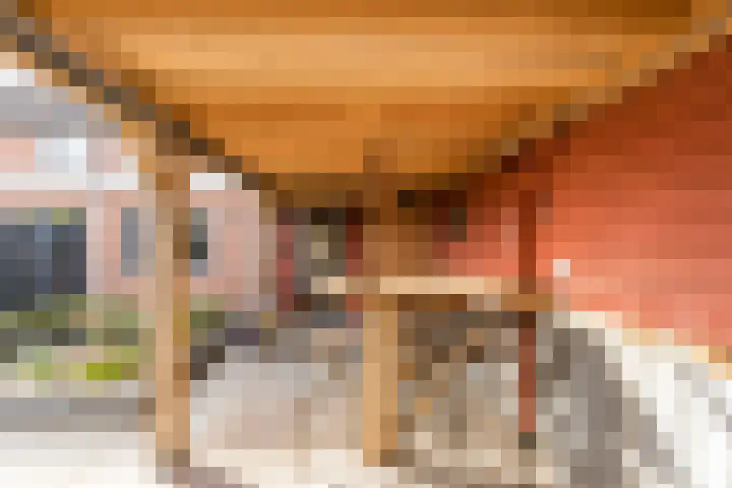 Kamperfoelie 20 Nieuwleusen thumbnail 57