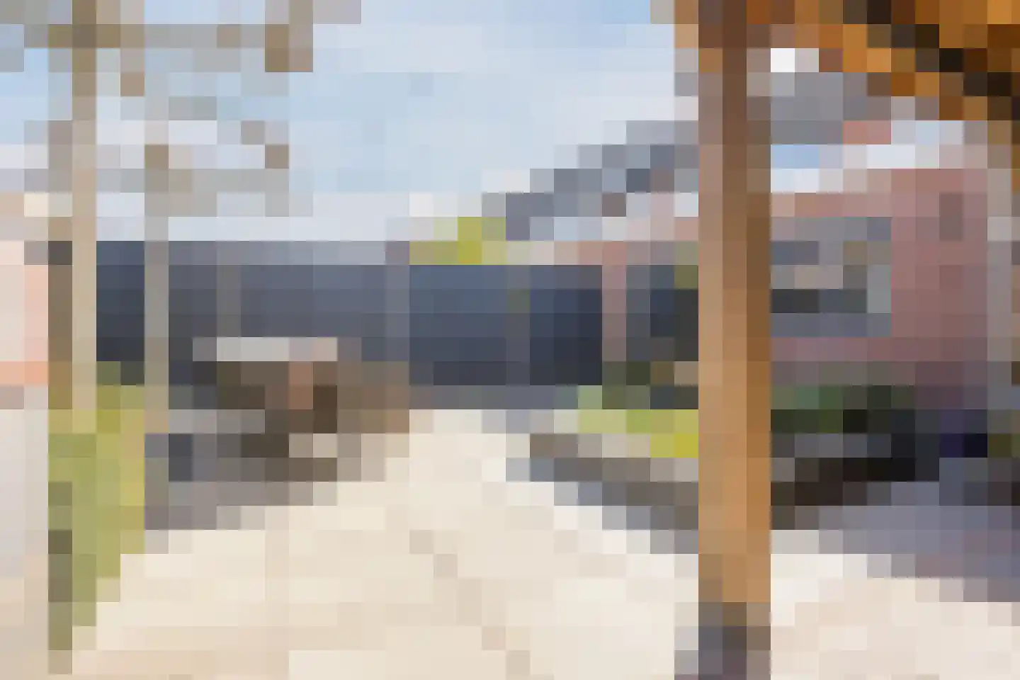 Kamperfoelie 20 Nieuwleusen thumbnail 58
