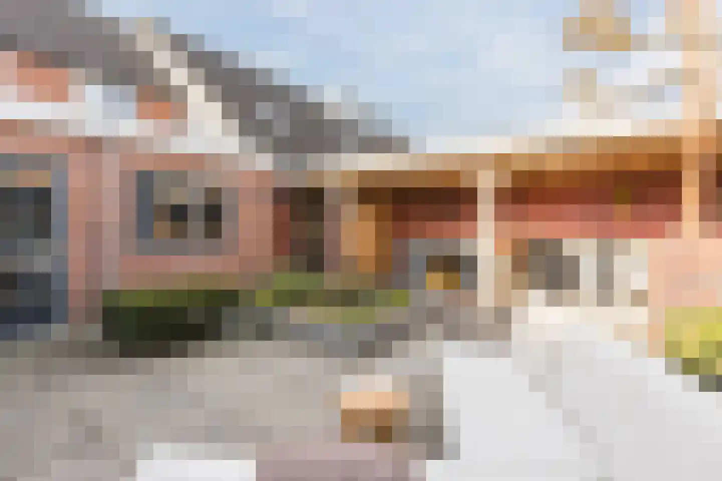 Kamperfoelie 20 Nieuwleusen thumbnail 60