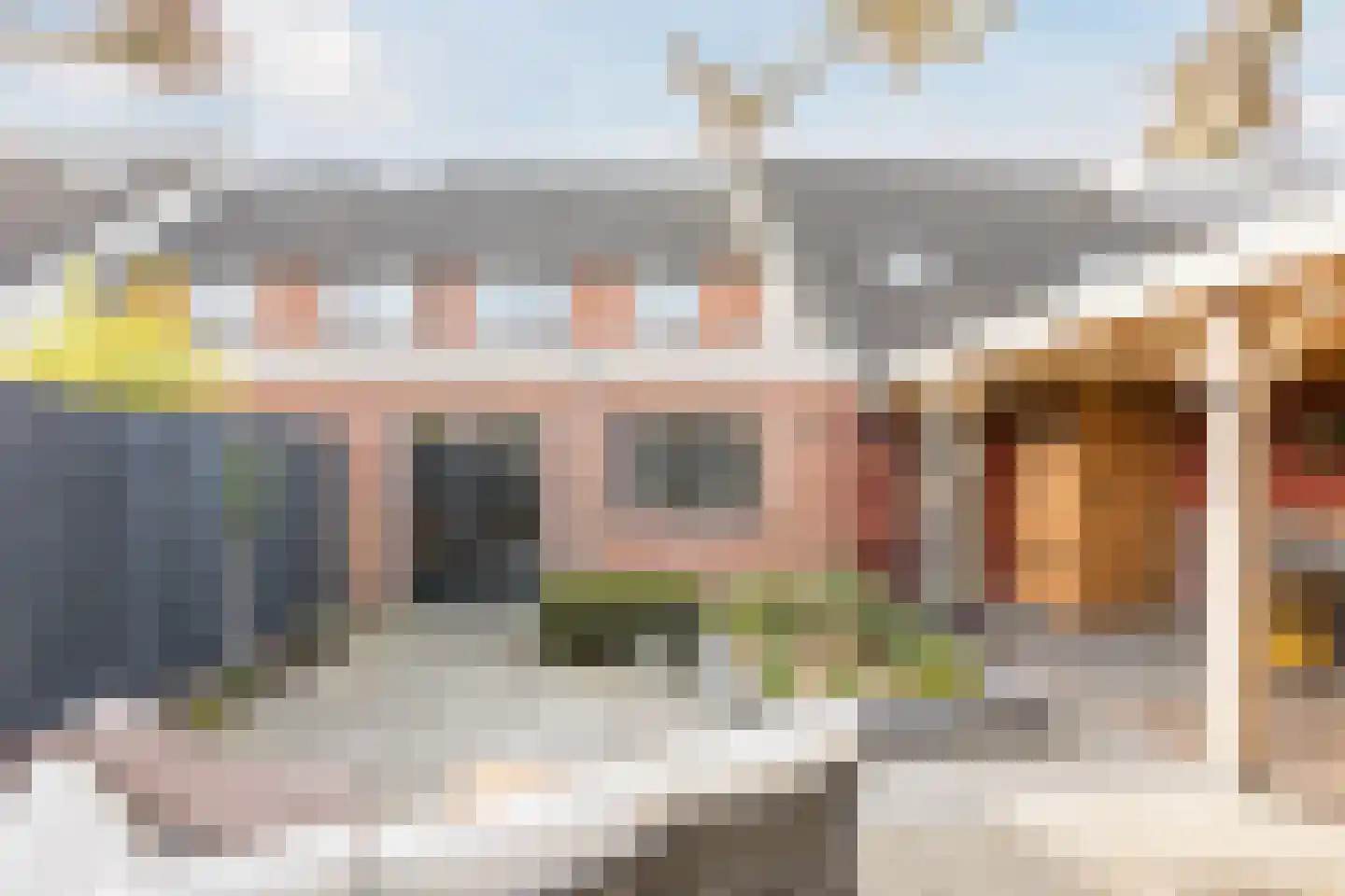 Kamperfoelie 20 Nieuwleusen thumbnail 61