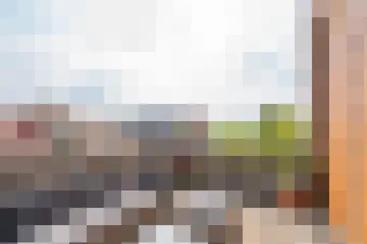 Kamperfoelie 24 Brandwijk thumbnail 11