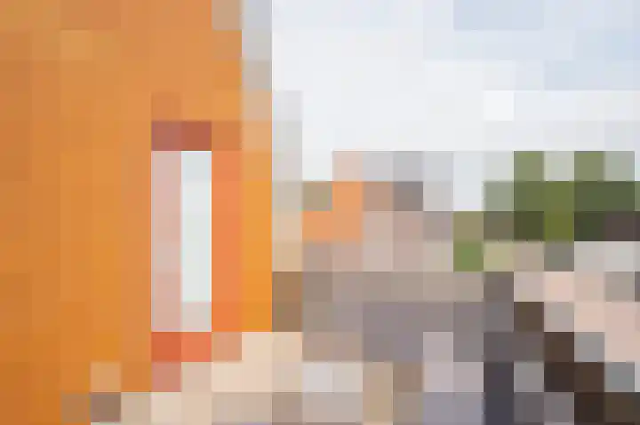 Kamperfoelie 24 Brandwijk thumbnail 12