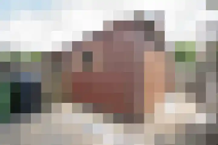 Kamperfoelie 24 Brandwijk thumbnail 24