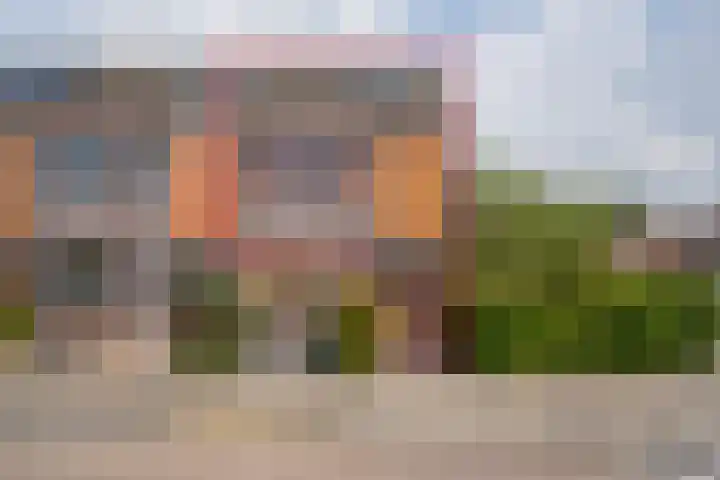 Kamperfoelie 24 Brandwijk thumbnail 28