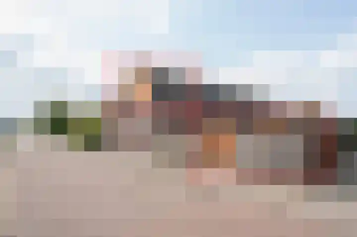 Kamperfoelie 24 Brandwijk thumbnail 4