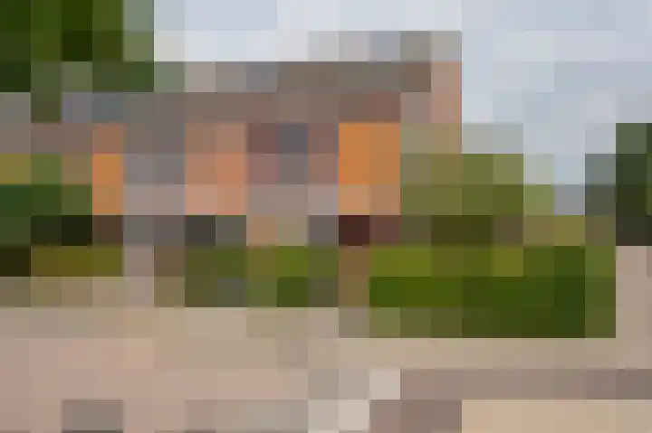 Kamperfoelie 24 Brandwijk thumbnail 5