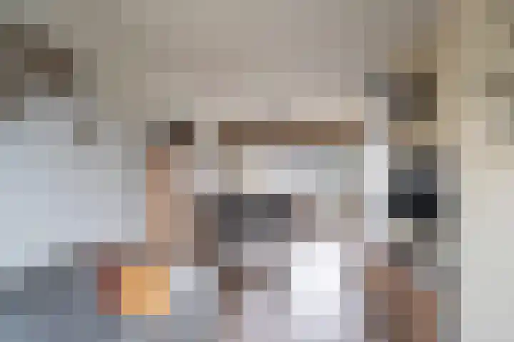 Kamperfoelie 24 Brandwijk thumbnail 7