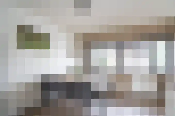 Kamperfoelie 24 Brandwijk thumbnail 8