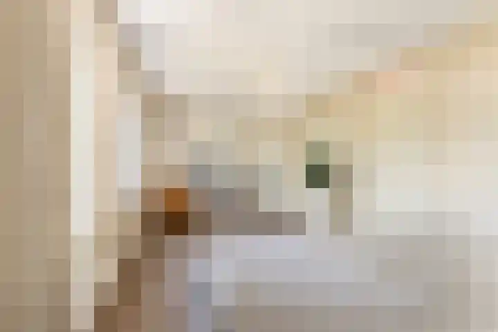 Kamperfoelie 24 Heemskerk thumbnail 14