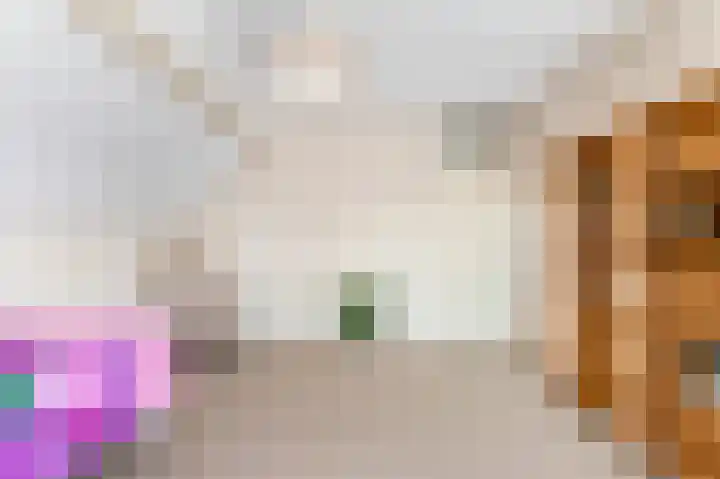 Kamperfoelie 24 Heemskerk thumbnail 18