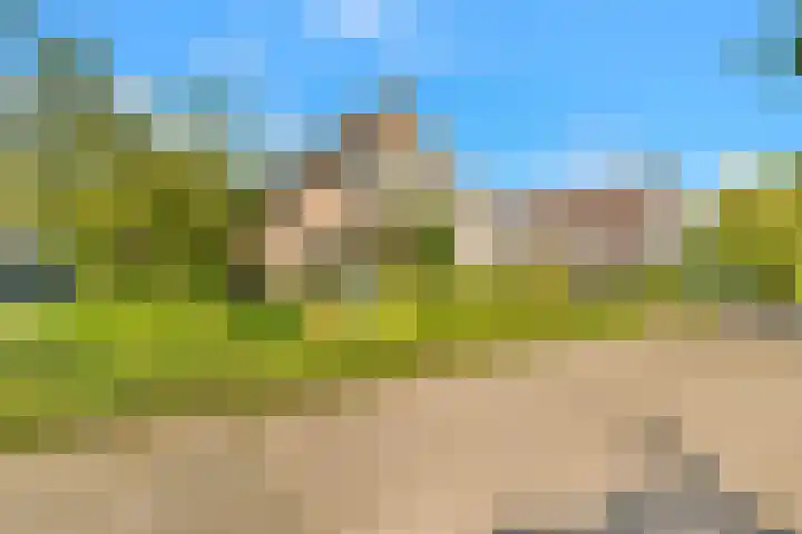 Kamperfoelie 24 Heemskerk thumbnail 21