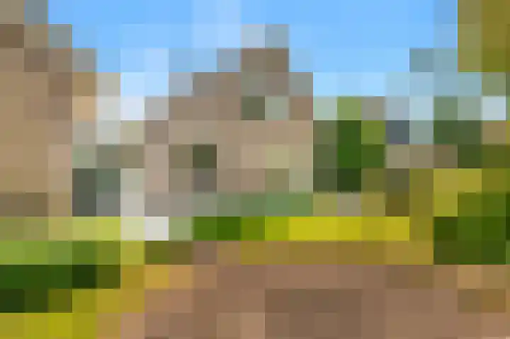 Kamperfoelie 24 Heemskerk thumbnail 22