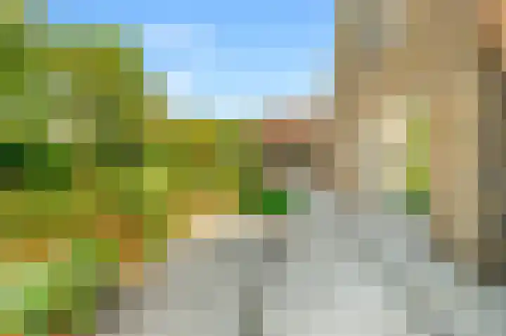Kamperfoelie 24 Heemskerk thumbnail 23