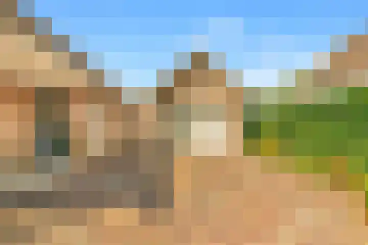 Kamperfoelie 24 Heemskerk thumbnail 26