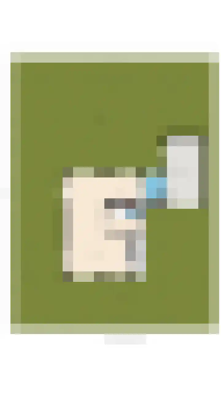 Kamperfoelie 24 Heemskerk thumbnail 34