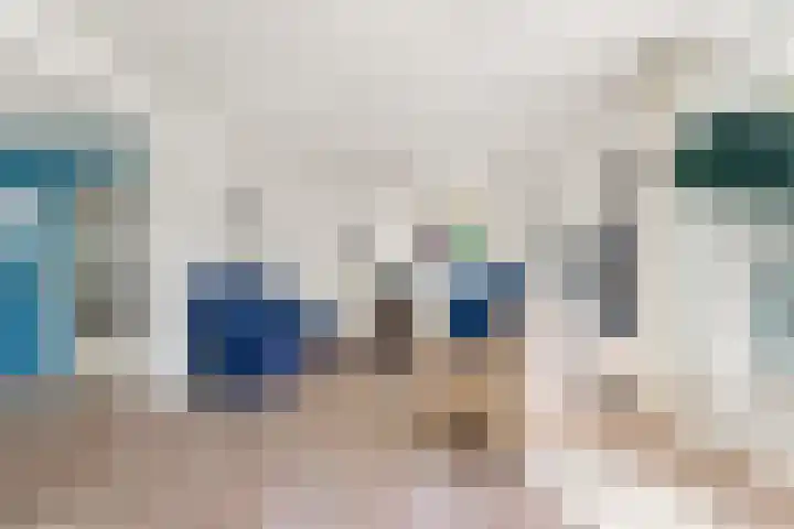 Kamperfoelie 24 Heemskerk thumbnail 6