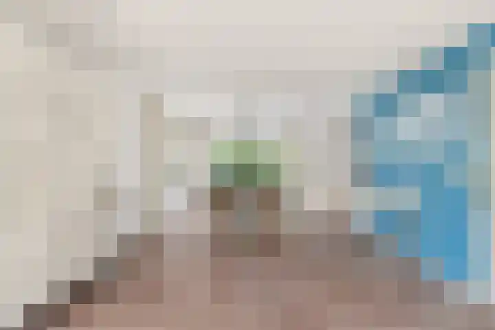 Kamperfoelie 24 Heemskerk thumbnail 7