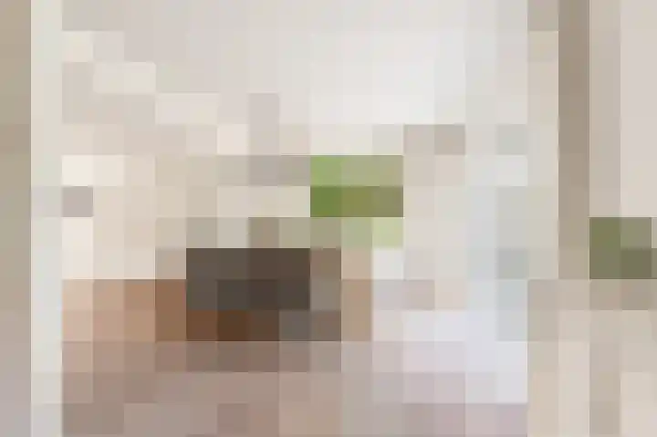 Kamperfoelie 24 Heemskerk thumbnail 8