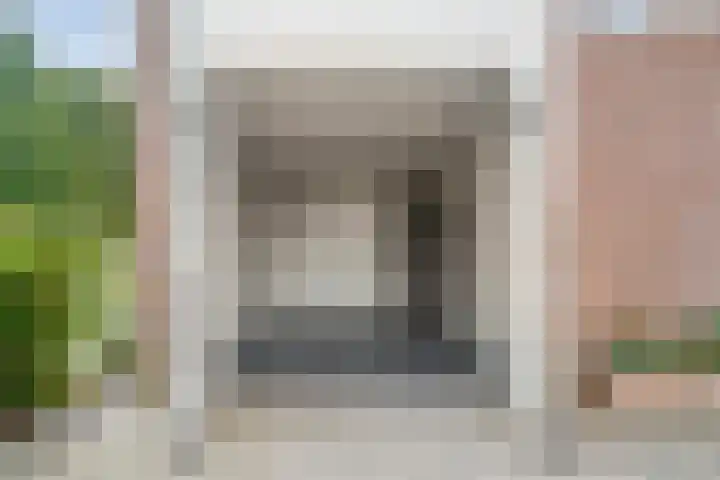Kamperfoelie 28 Nieuwleusen thumbnail 13