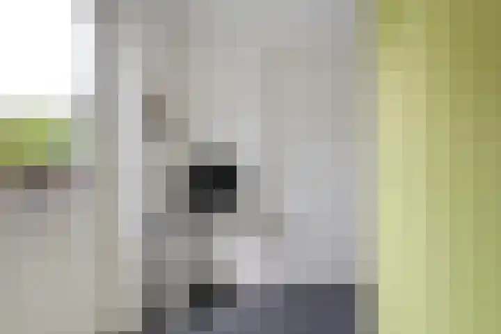 Kamperfoelie 28 Nieuwleusen thumbnail 15