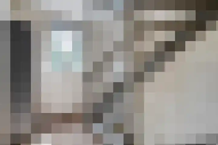 Kamperfoelie 28 Nieuwleusen thumbnail 26