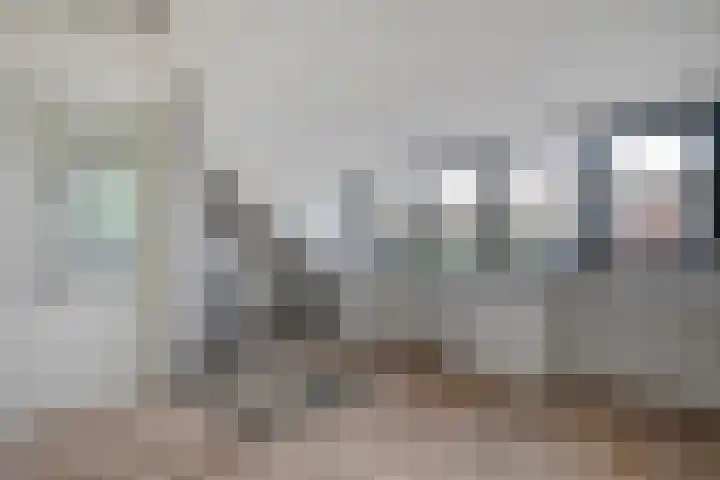 Kamperfoelie 28 Nieuwleusen thumbnail 27