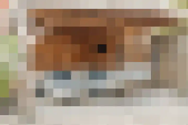 Kamperfoelie 28 Nieuwleusen thumbnail 34