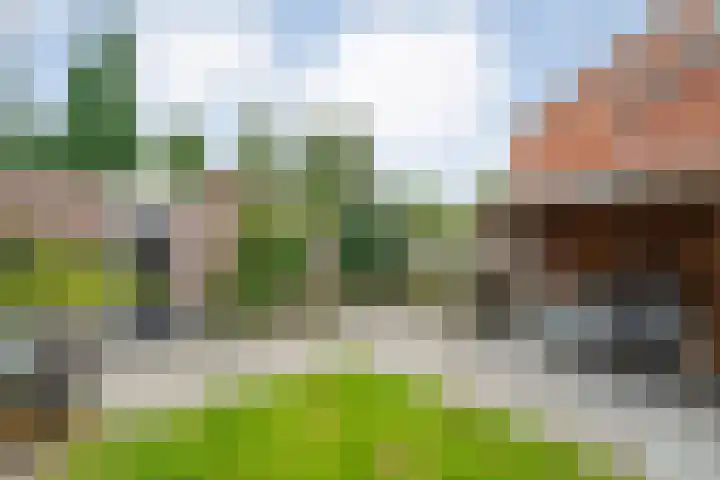 Kamperfoelie 28 Nieuwleusen thumbnail 35