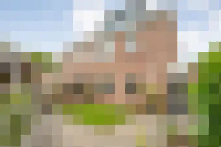 Kamperfoelie 28 Nieuwleusen thumbnail 38