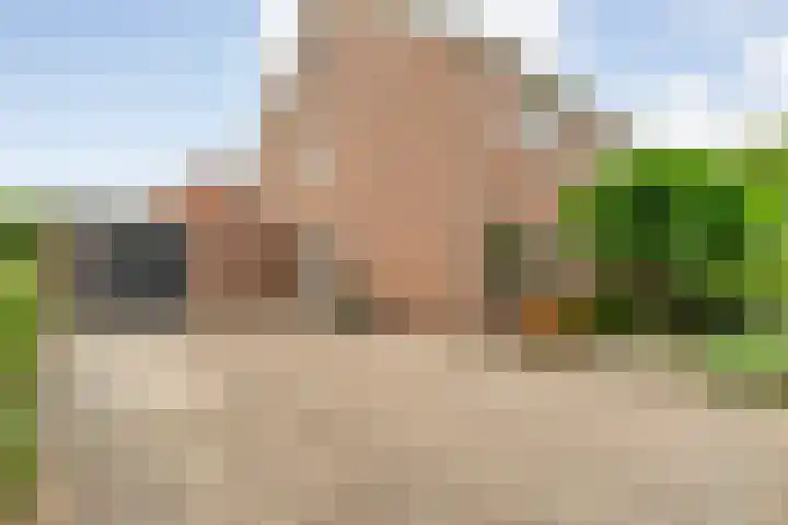 Kamperfoelie 28 Nieuwleusen thumbnail 39