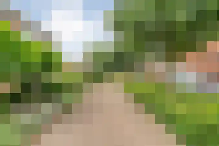 Kamperfoelie 28 Nieuwleusen thumbnail 41