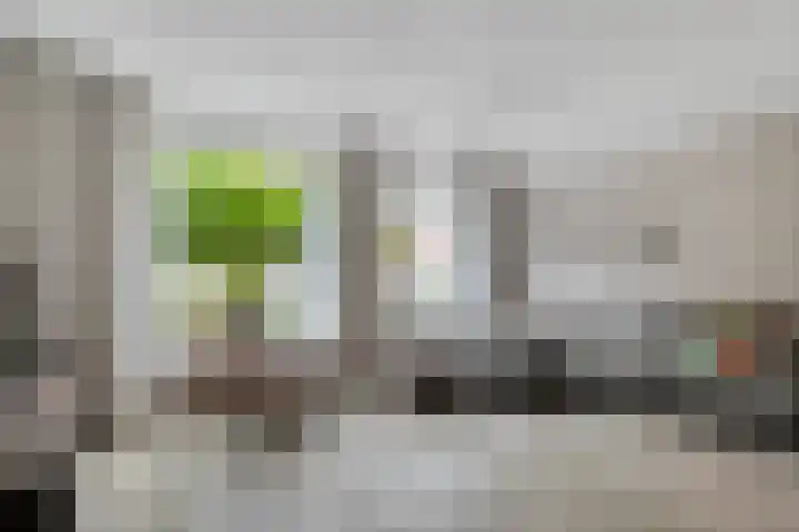 Kamperfoelie 28 Nieuwleusen thumbnail 6