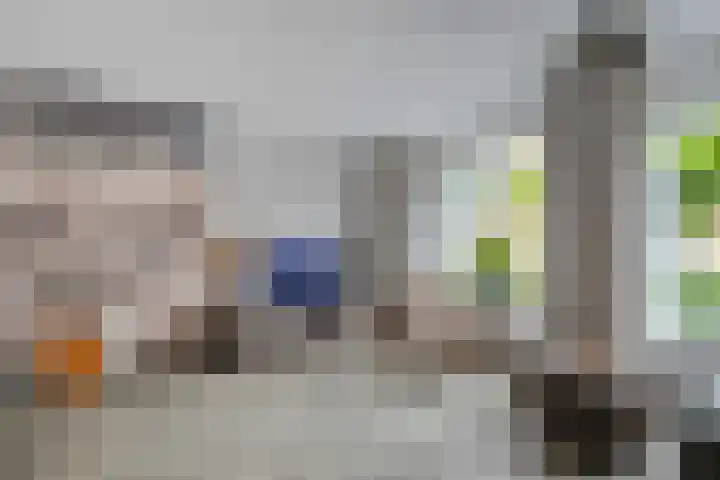 Kamperfoelie 28 Nieuwleusen thumbnail 7
