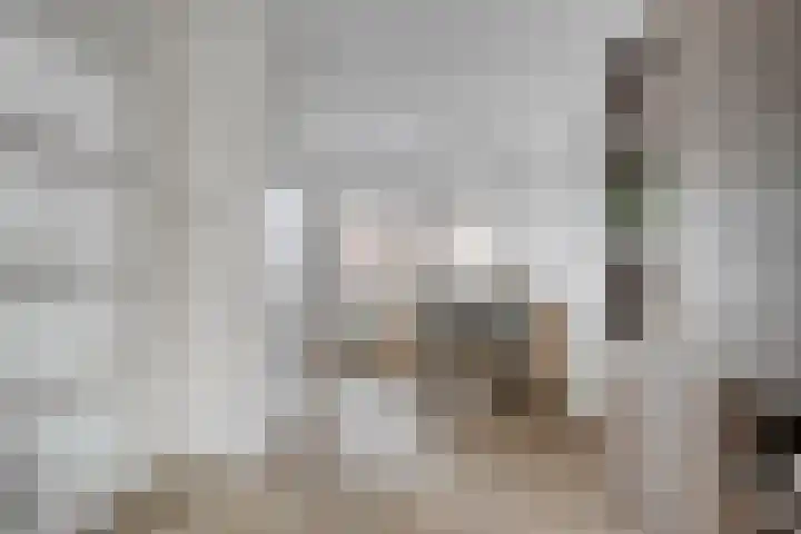 Kamperfoelie 28 Nieuwleusen thumbnail 8