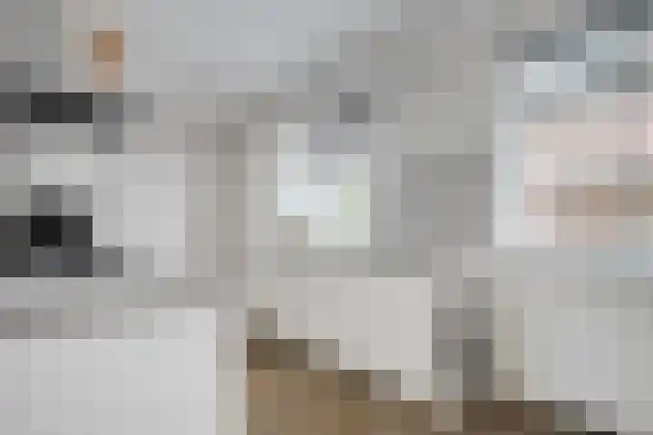 Kamperfoelie 28 Nieuwleusen thumbnail 9