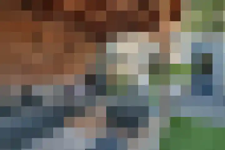 Kamperfoelie 3 Nijverdal thumbnail 11