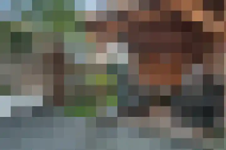 Kamperfoelie 3 Nijverdal thumbnail 12
